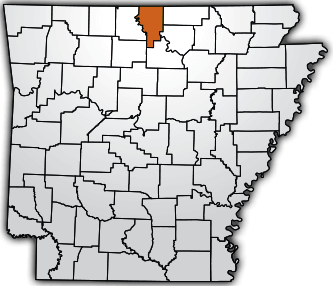 On-Site Service for Northern Arkansas & Southern Missouri. Remote Service for Established Clients throughout the U.S.